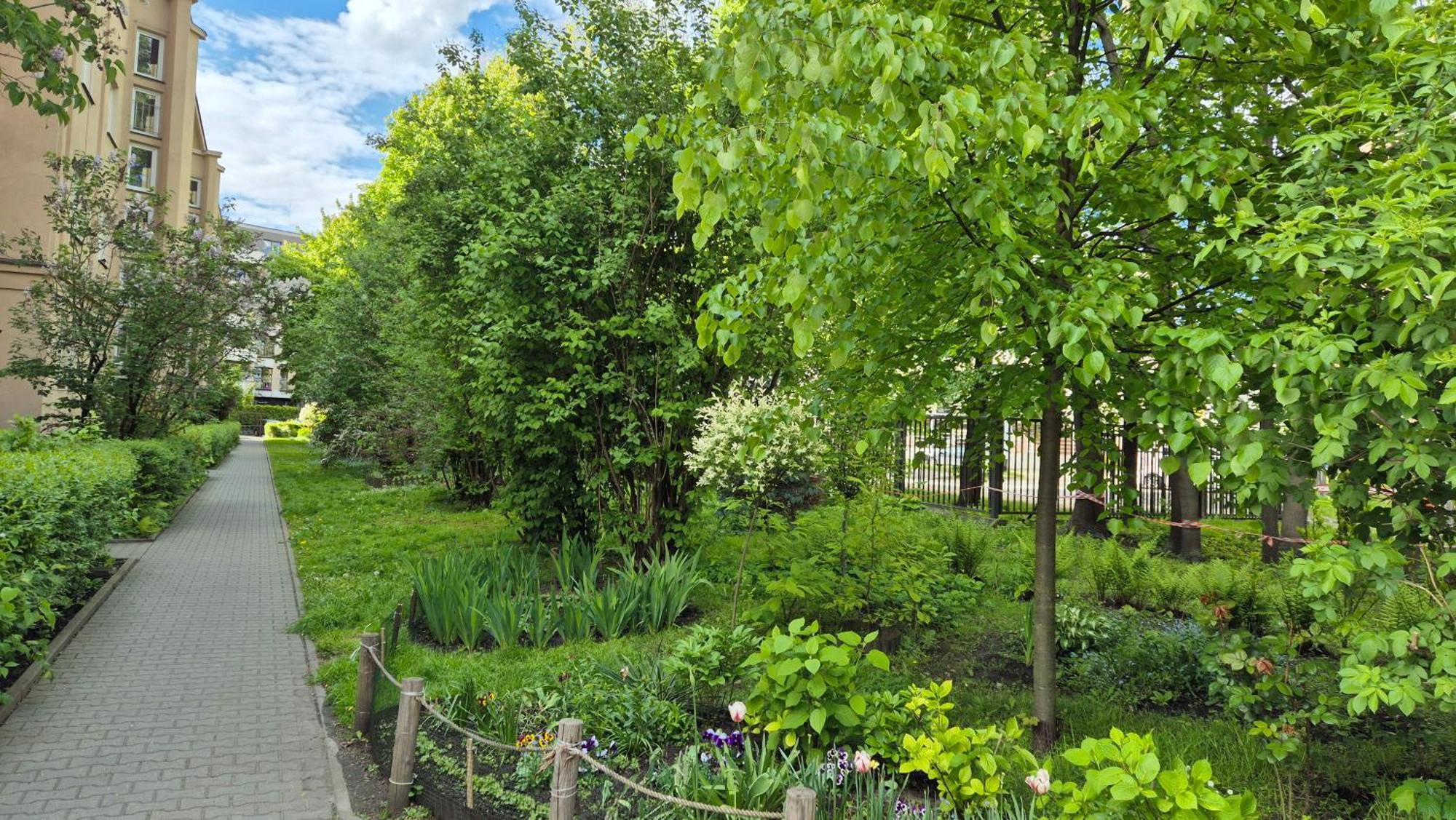 Apartament Daszynskiego Cracovia Esterno foto